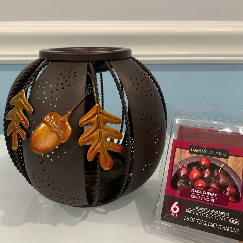 Scented wax melter